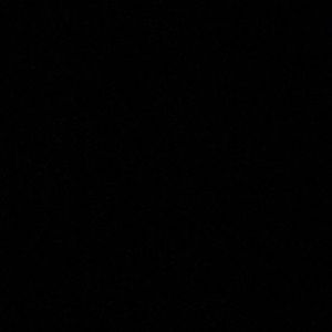 Meet your Posher, Carissa